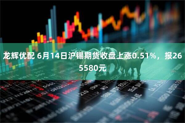 龙辉优配 6月14日沪锡期货收盘上涨0.51%，报265580元