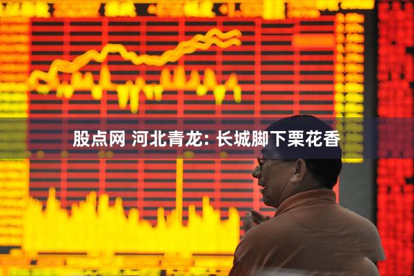 股点网 河北青龙: 长城脚下栗花香