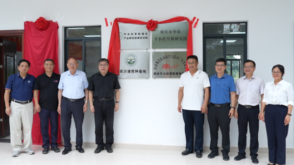 中证策略 肇庆市华农节水抗旱稻研究院正式揭牌