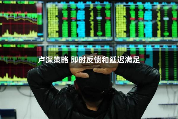 卢深策略 即时反馈和延迟满足