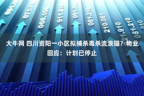 大牛网 四川资阳一小区拟捕杀毒杀流浪猫？物业回应：计划已停止